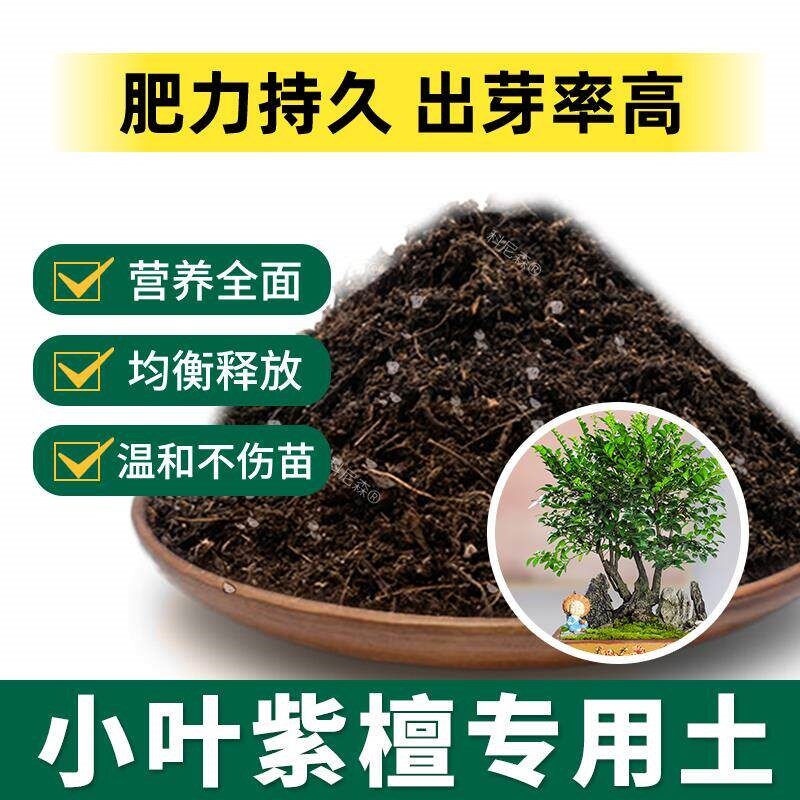 小叶紫檀专用土肥料养花花草种植小叶紫檀营养土植物蓬松绿植黑土