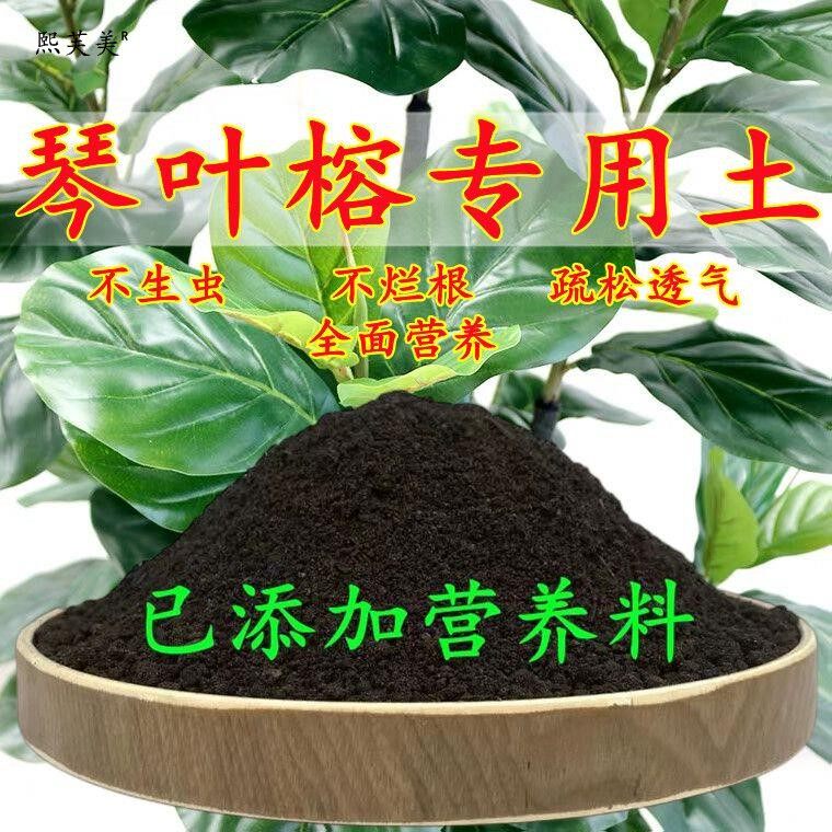 琴叶榕专用土琴叶榕专用营养土盆栽养花种花土通用型种植土壤肥料