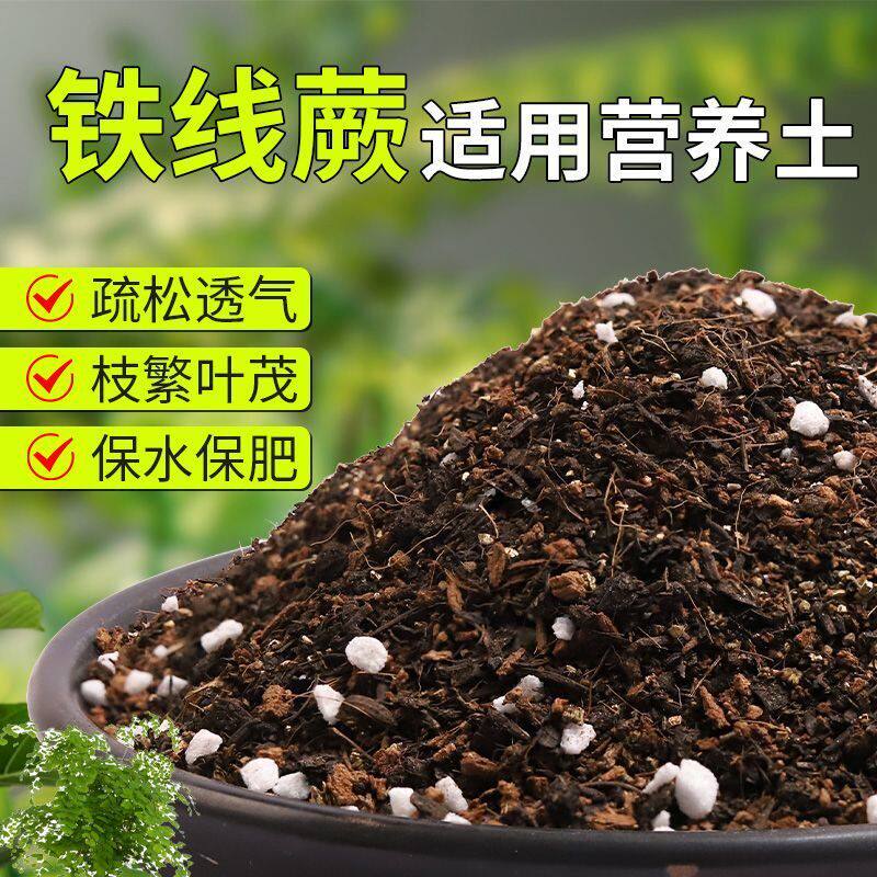 【铁线蕨专用土】疏松透气盆栽绿植专用室内植物有机营养土肥料