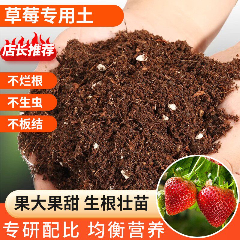 草莓专用营养土瓜果树通用土壤草莓盆栽种植土阳台有机土肥料