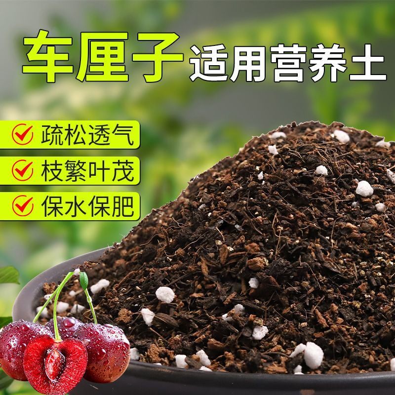 【车厘子专用土】疏松透气盆栽绿植专用室内植物有机营养土肥料