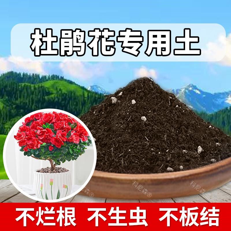 杜鹃花专用土酸性营养土杜鹃花专用肥料花土种花种植土养花盆栽土