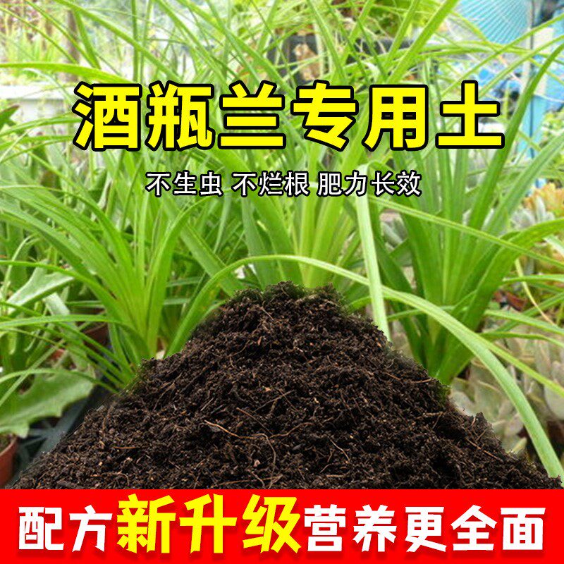 酒瓶兰专用土家用养花有机土壤种植土肥料种花盆栽土酒瓶兰营养土