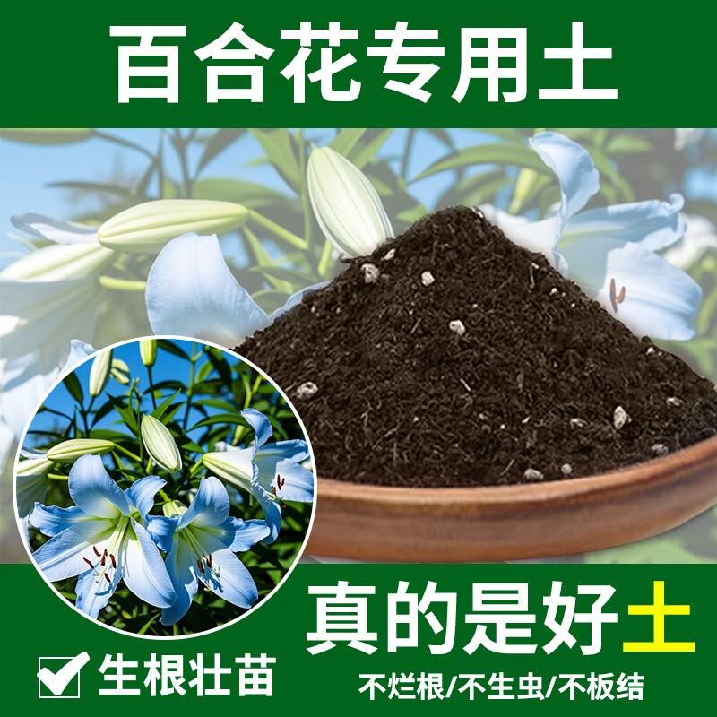 百合花专用土有机土百合花专用营养土植物园艺花土种花土泥土室内