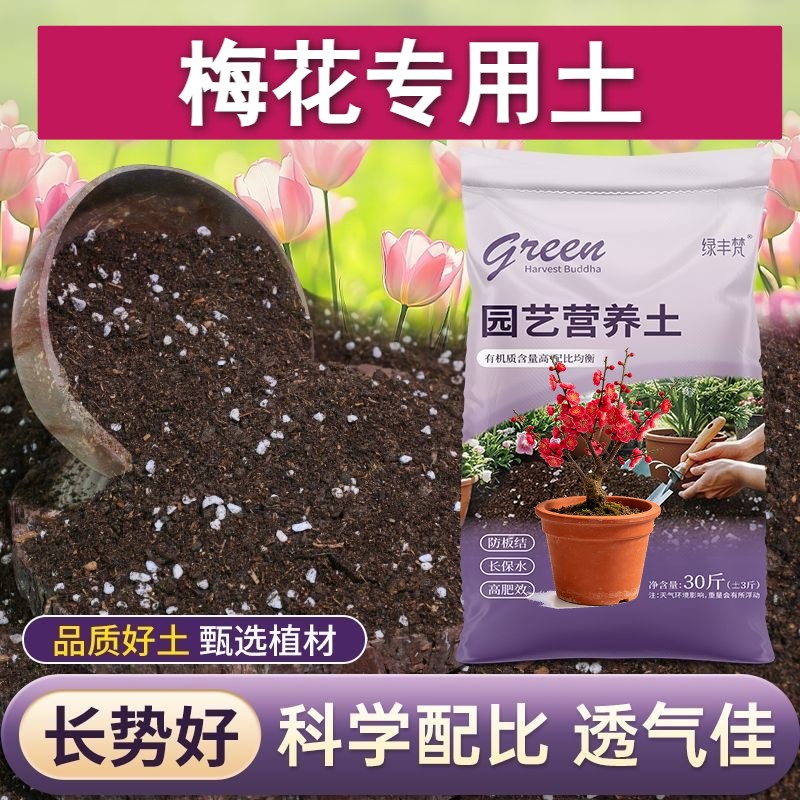 梅花适用盆景土保水锁肥加珍珠岩园艺加有机肥天然绿叶多肉盆栽