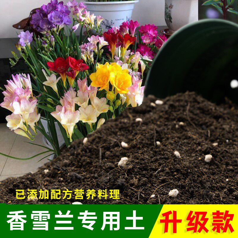 香雪兰专用土有机土肥料家用种植土香雪兰营养土盆栽养花通用包邮