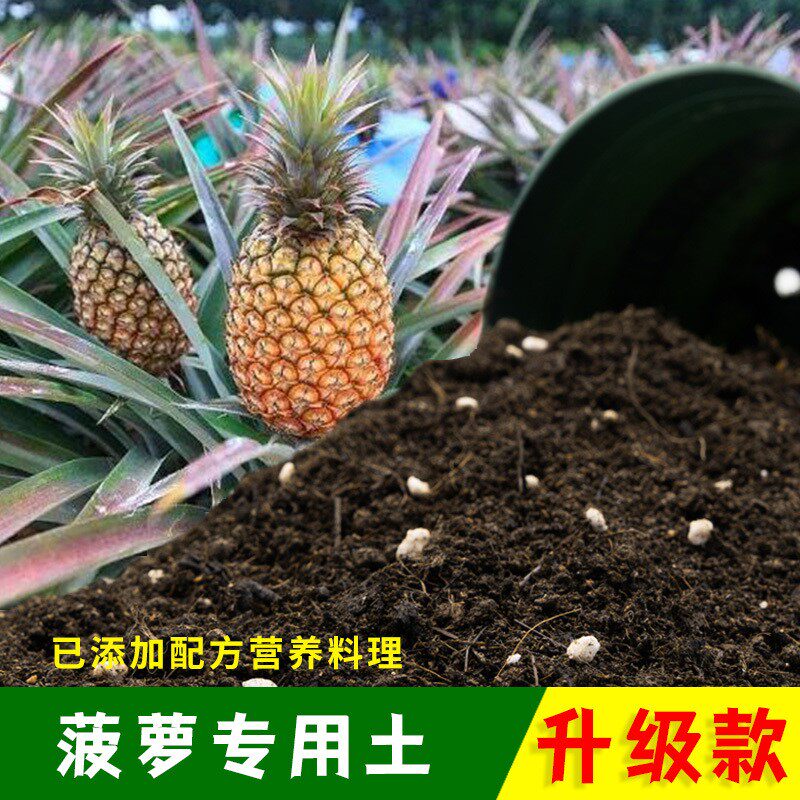 菠萝专用土有机土肥料家用种植土菠萝营养土盆栽养花通用包邮