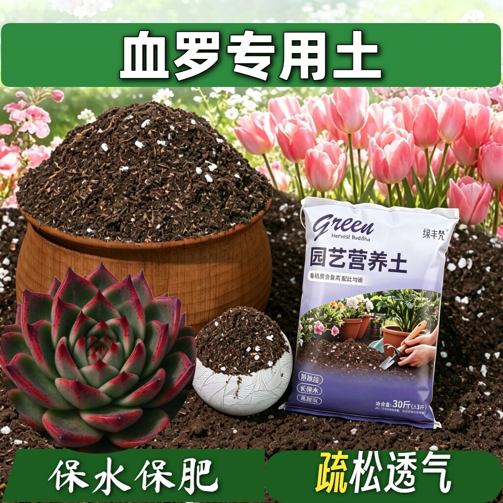 血罗专用基质不闷根菜园加深生根粉有机壮根木本泥炭基质无菌球根