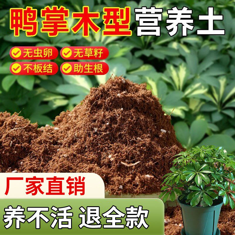 鸭掌木适用营养土疏松透气绿植通用椰糠土养花专用肥料