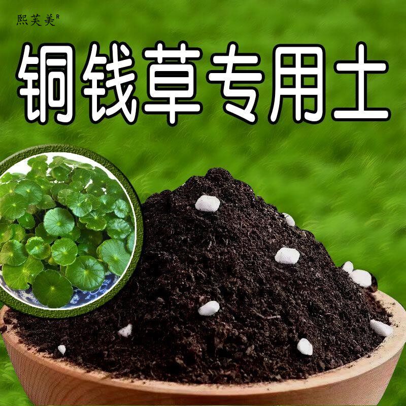 铜钱草专用土铜钱草营养土有机土壤绿植盆栽养花种花土种植土家用