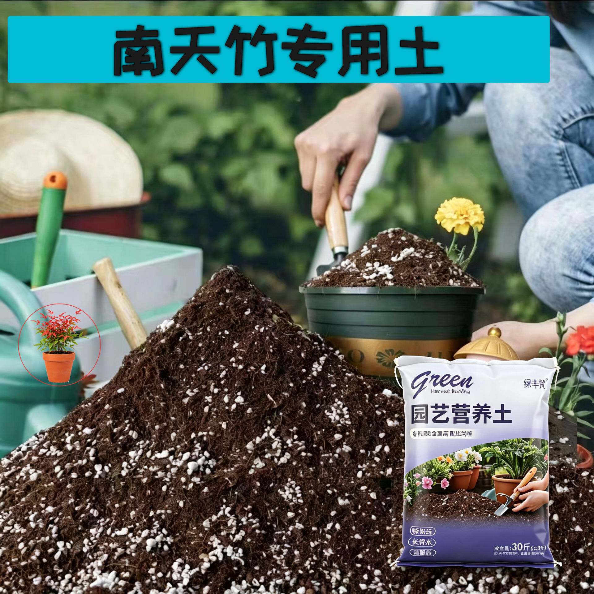 南天竹适用栽培土防烂根育苗加有机肥无菌增色喜酸精选盆景土盆景
