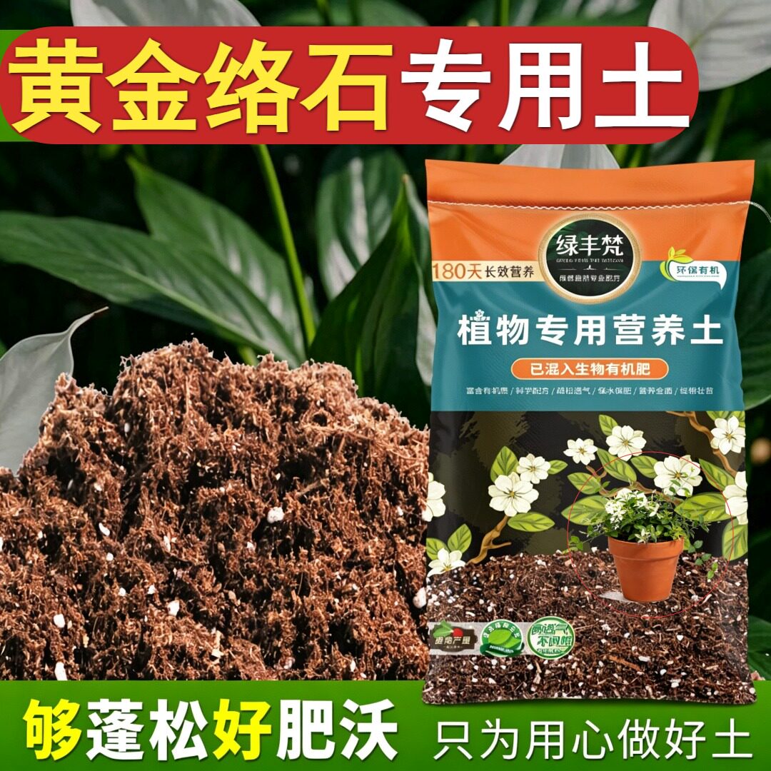 黄金络石适用花土促开花栽植种植土有机维持疏松无草籽多肉防黄叶