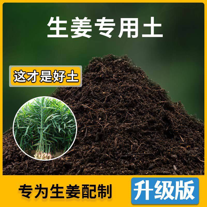 生姜专用土生姜营养土家用种植土壤家庭盆栽种花养花绿植有机土