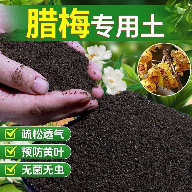腊梅专用土营养土种植土壤种花土养花土盆栽土育苗土君子兰花土壤