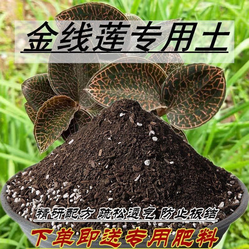 金线莲专用土金线莲种植营养土通用型家用透气养花种菜土壤