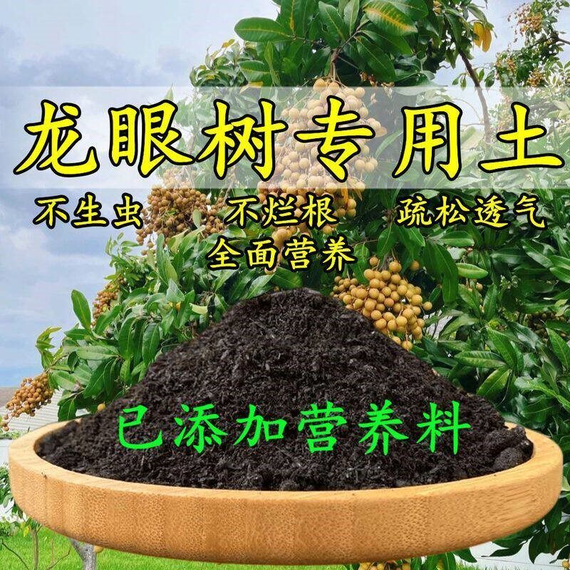 龙眼树专用土龙眼树土盆栽营养土酸性沙质土壤家用绿植种植土肥料
