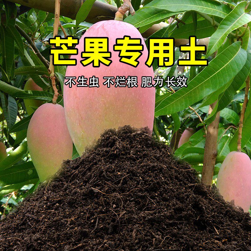 芒果专用土农业果园种植土芒果营养土家庭果树有机土壤盆栽果树土