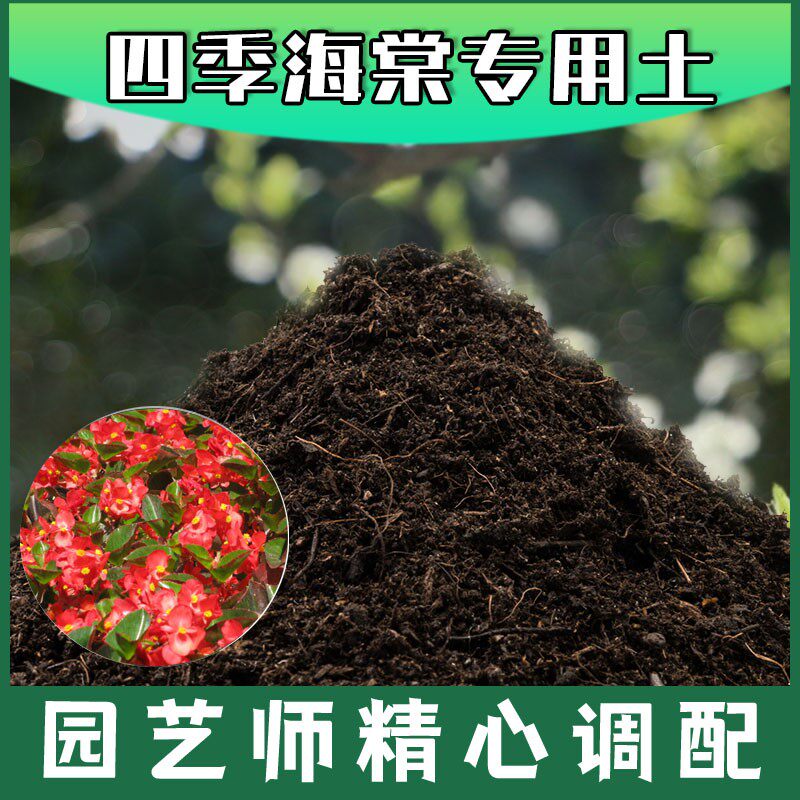 四季海棠专用土腐殖土种花养花盆栽土四季海棠营养土种植有机土壤