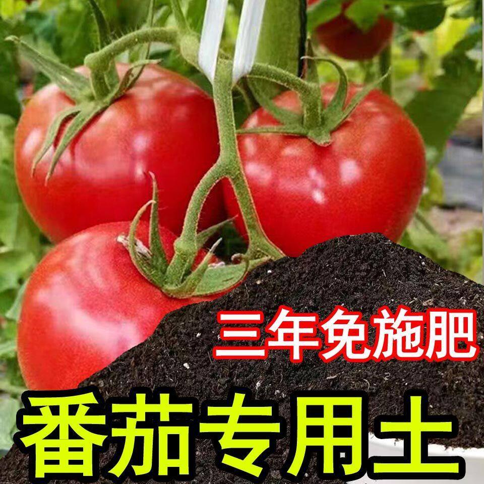 番茄专用营养土西红柿专用土盆栽土种植土种菜土育苗秧苗有机肥料