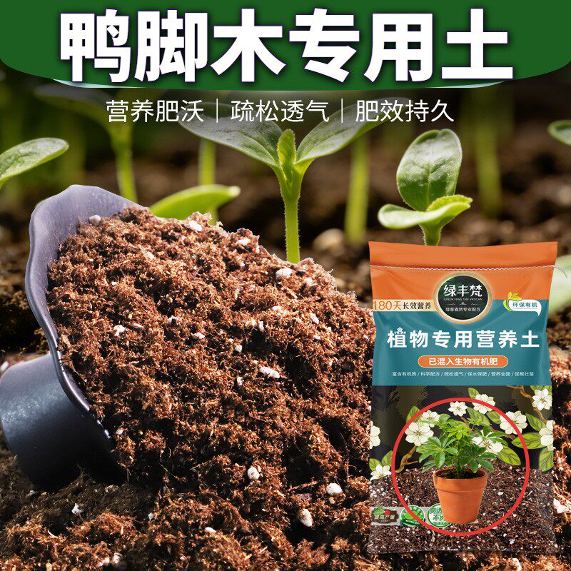 鸭脚木专用基质温和基质花盆营养土配比科学平衡土质家用装观叶
