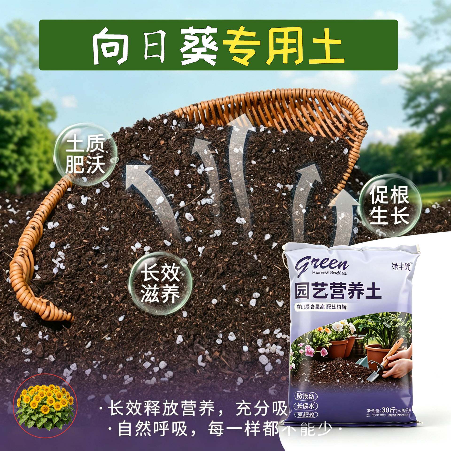向日葵专用轻质土根壮苗好腐殖泥炭土花园加有机肥进口增色球根
