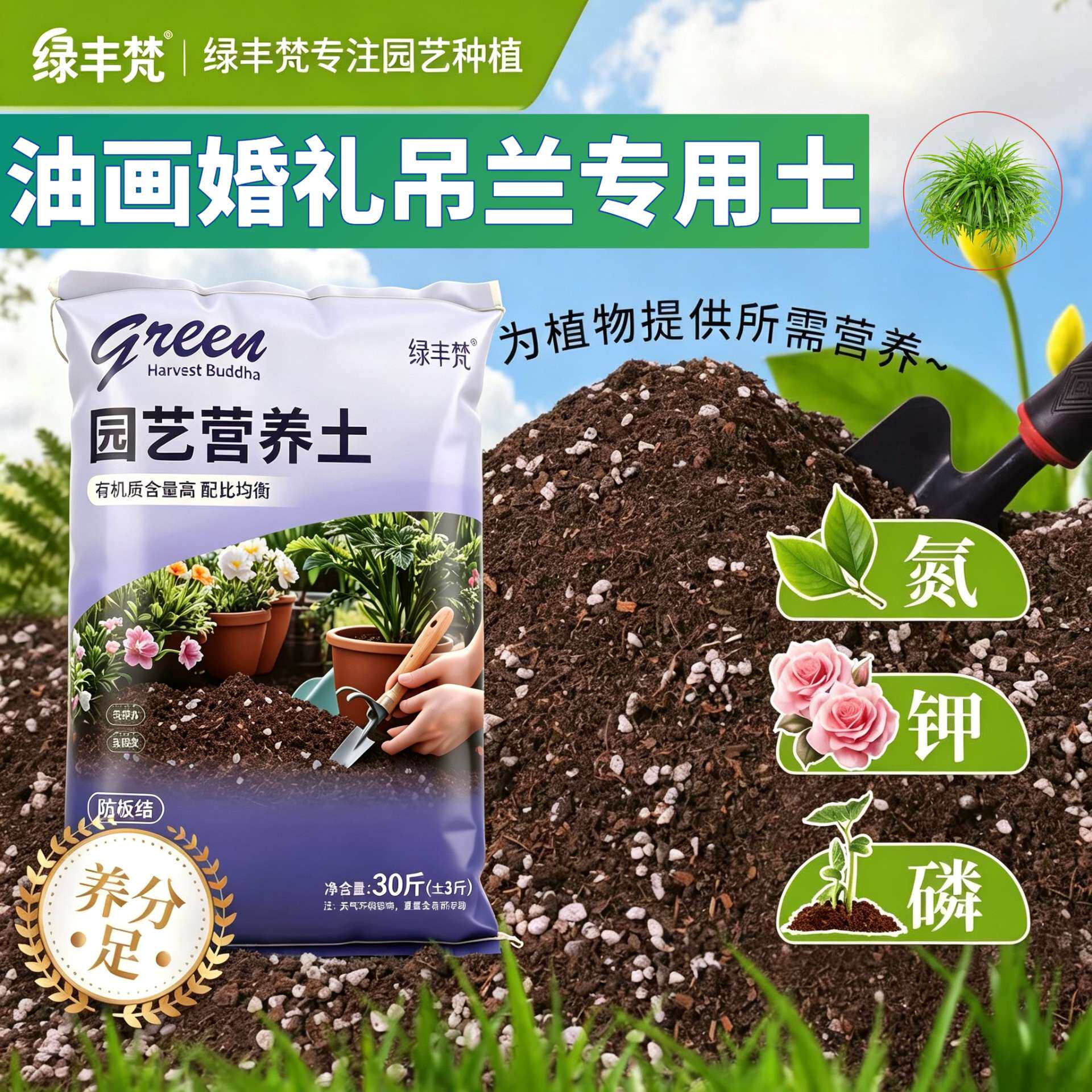 油画婚礼吊兰适用泥炭土加珍珠岩菜园加深生根粉优质增色木本天然