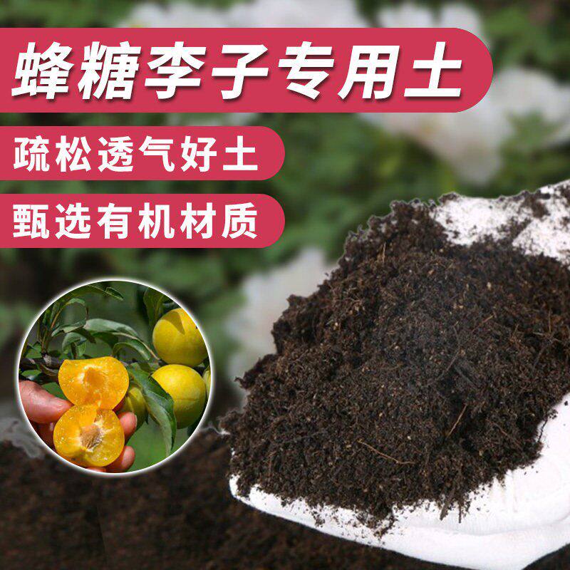 蜂糖李子专用土营养土阳台黑土室内果树通用瓜果育苗种花蔬果肥料