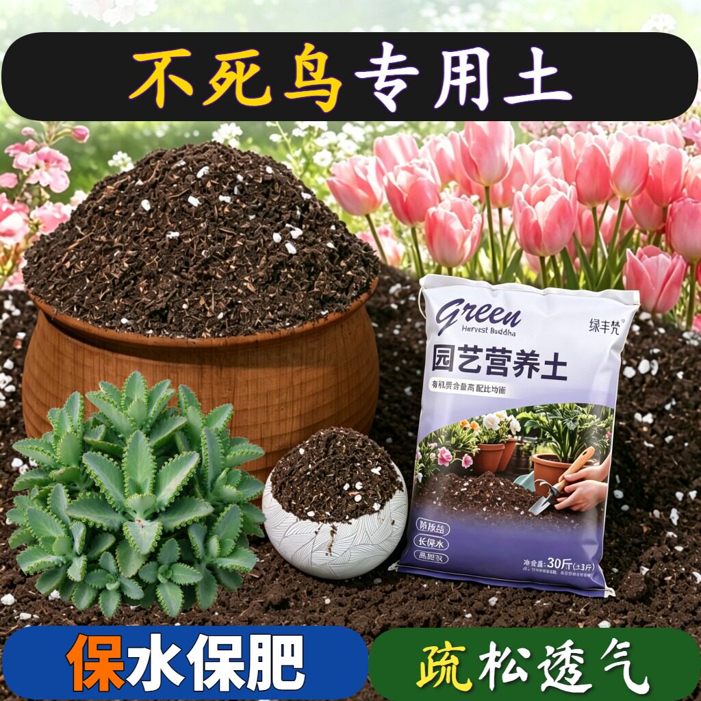 不死鸟专用有机土高温灭菌疏松透气育苗加深生根粉天然绿叶球根