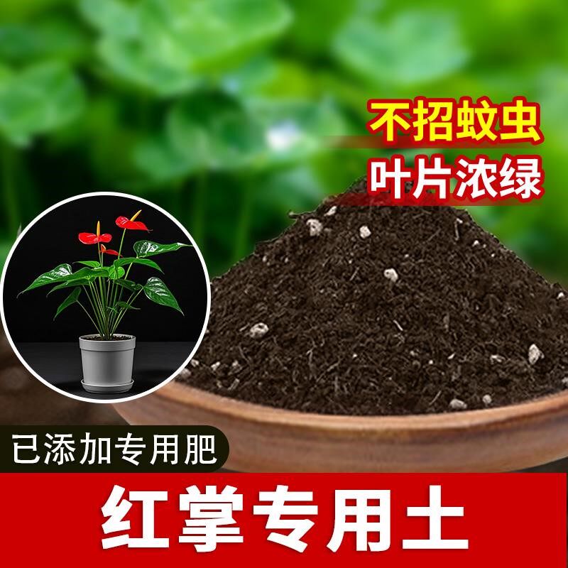 红掌专用土花肥发酵有机育苗花土红掌专用营养土花盆椰砖园艺蓬松