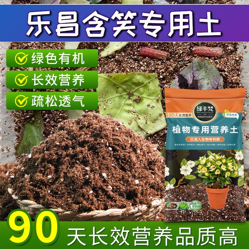 乐昌含笑专用营养土温和基质盆栽土腐熟充分稳定土团试用装球根