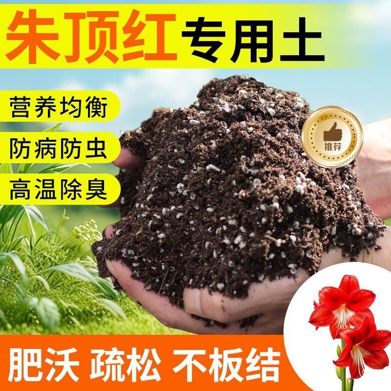 朱顶红种植土壤专用营养土盆栽土种花养花土多肉育苗土君子兰花土