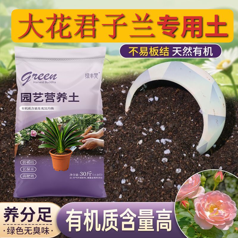 大花君子兰适用栽培土根壮苗好保水保肥加深生根粉优质绿叶喜酸