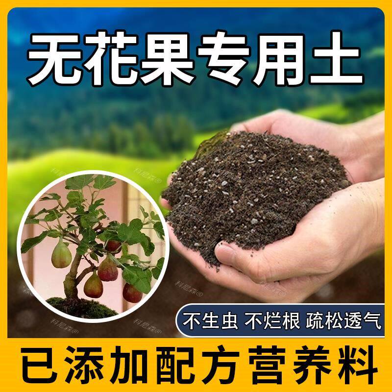 无花果专用土肥料无花果营养土室内种花椰砖园艺泥土蓬松阳台植物