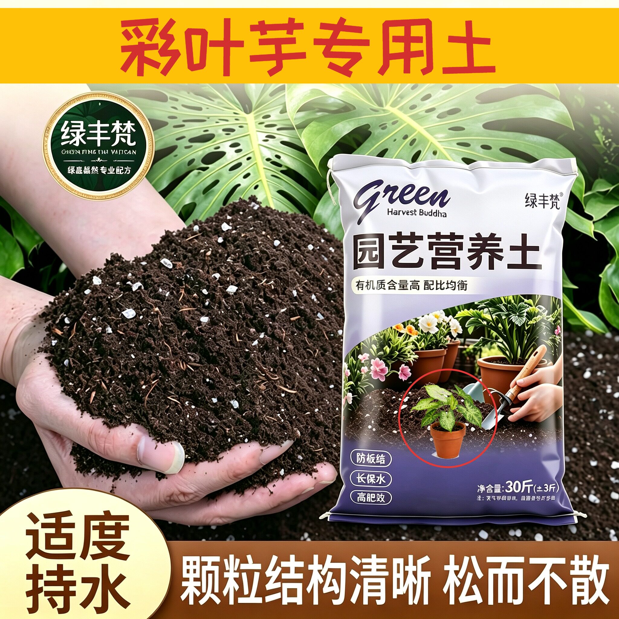 彩叶芋专用盆景土加珍珠岩盆景加有机肥精选壮根喜酸木本不闷根
