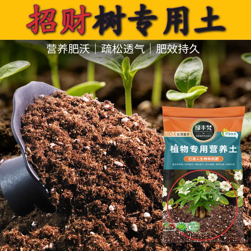 招财树专用花泥促开花家庭营养土洁净基质优化根际大包装多肉花土