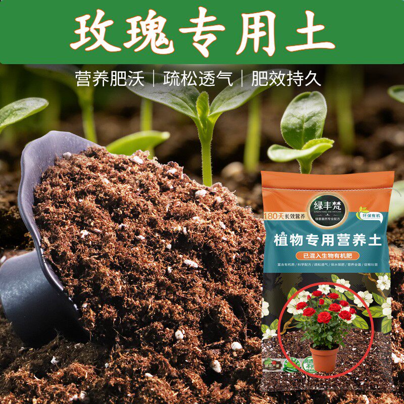 玫瑰专用育苗土天然原料盆景盆栽土干净无尘保水锁水开袋即用喜酸