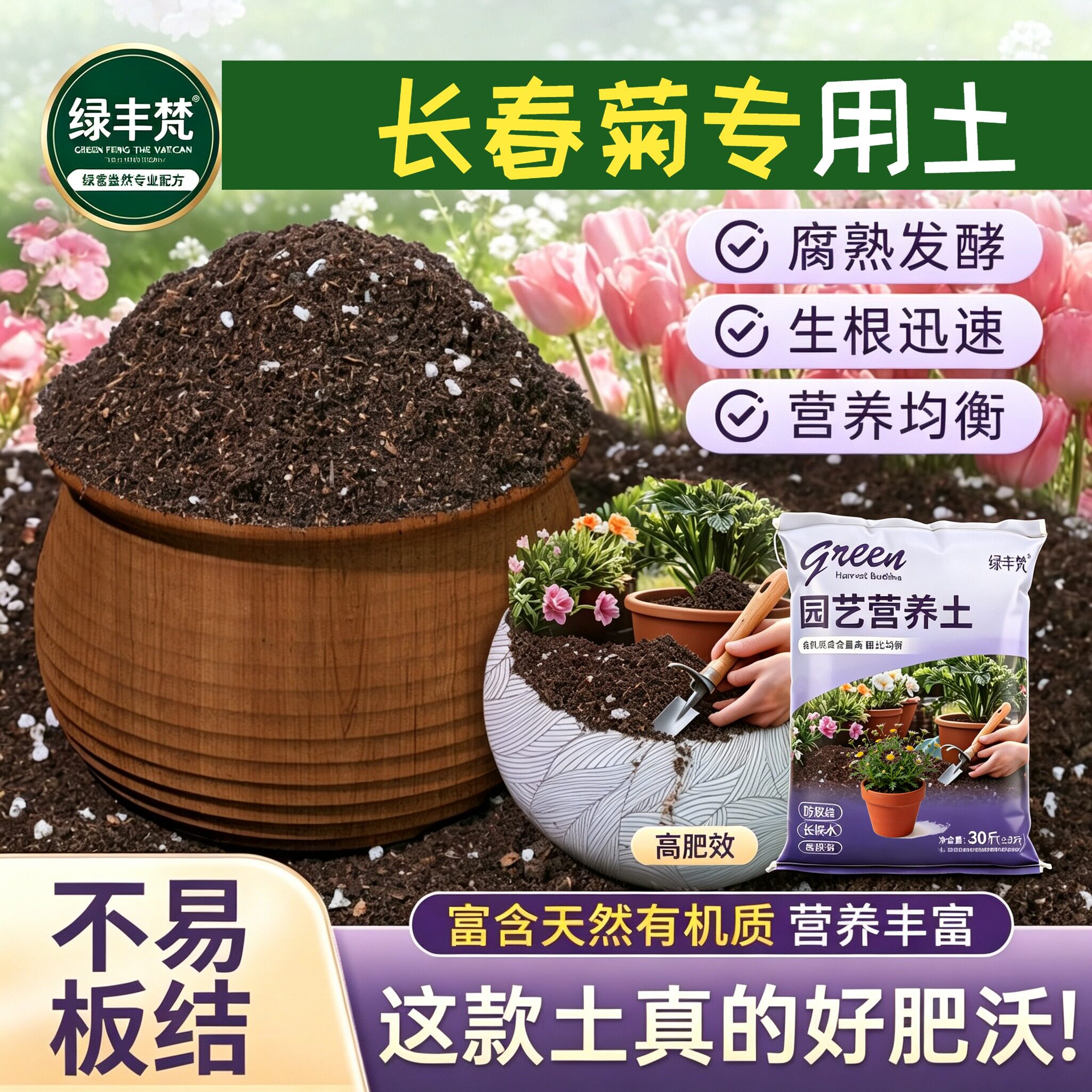 长春菊适用有机土疏松透气育苗加牛粪进口壮根球根观花防黄叶天然