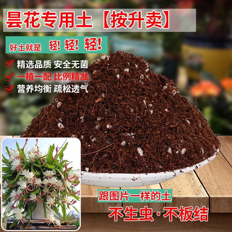 养昙花专用土营养土养花通用专用花土壤橡皮树土种植泥土专用肥料