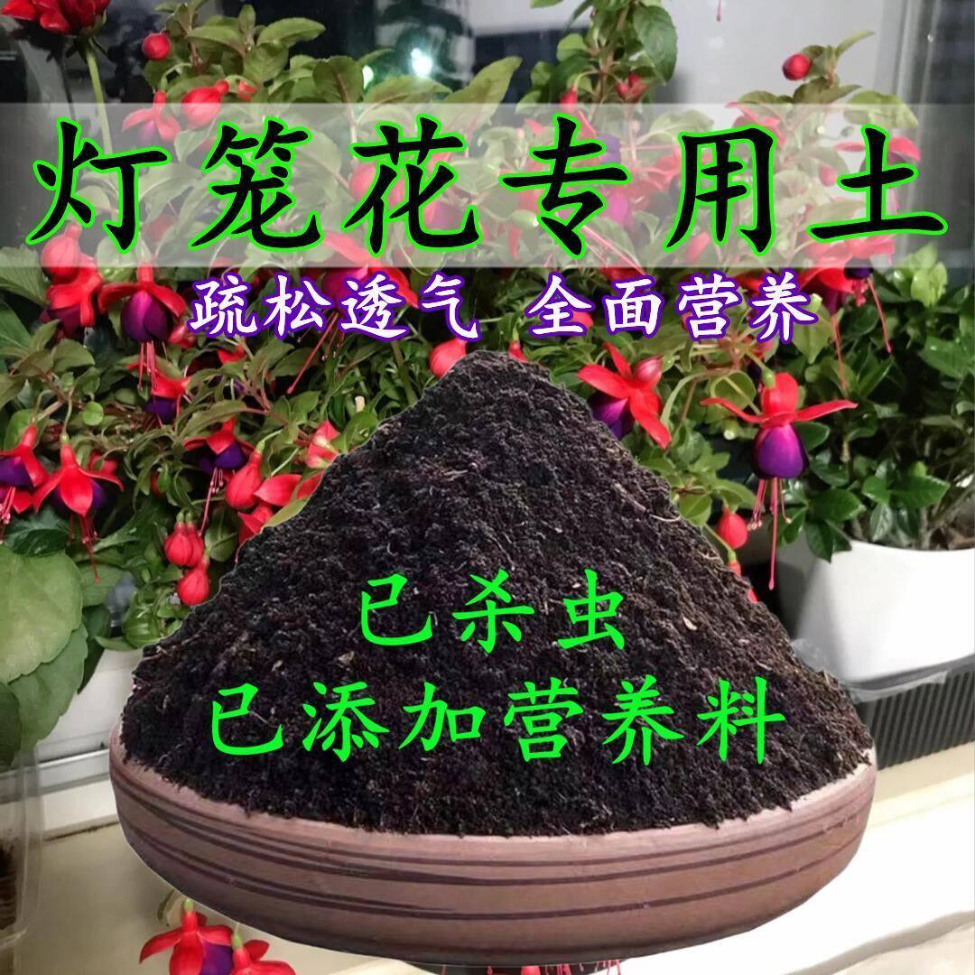 灯笼花专用土倒挂金钟专用营养土盆栽土养花种土通用种植土壤肥料