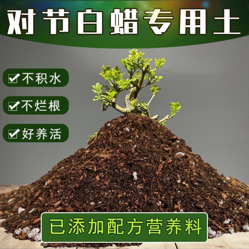 对节白蜡专用土盆栽营养土酸性培养土壤绿植园艺家用种植土有机肥