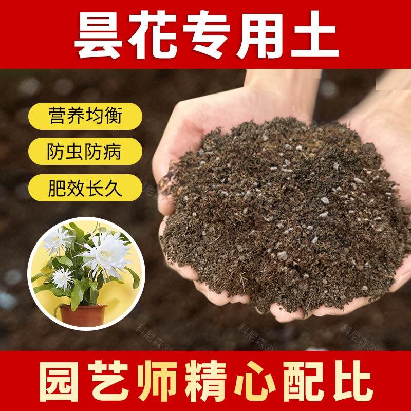 昙花专用土养花肥料昙花营养土家用椰砖花土盆栽种植绿植土有机土