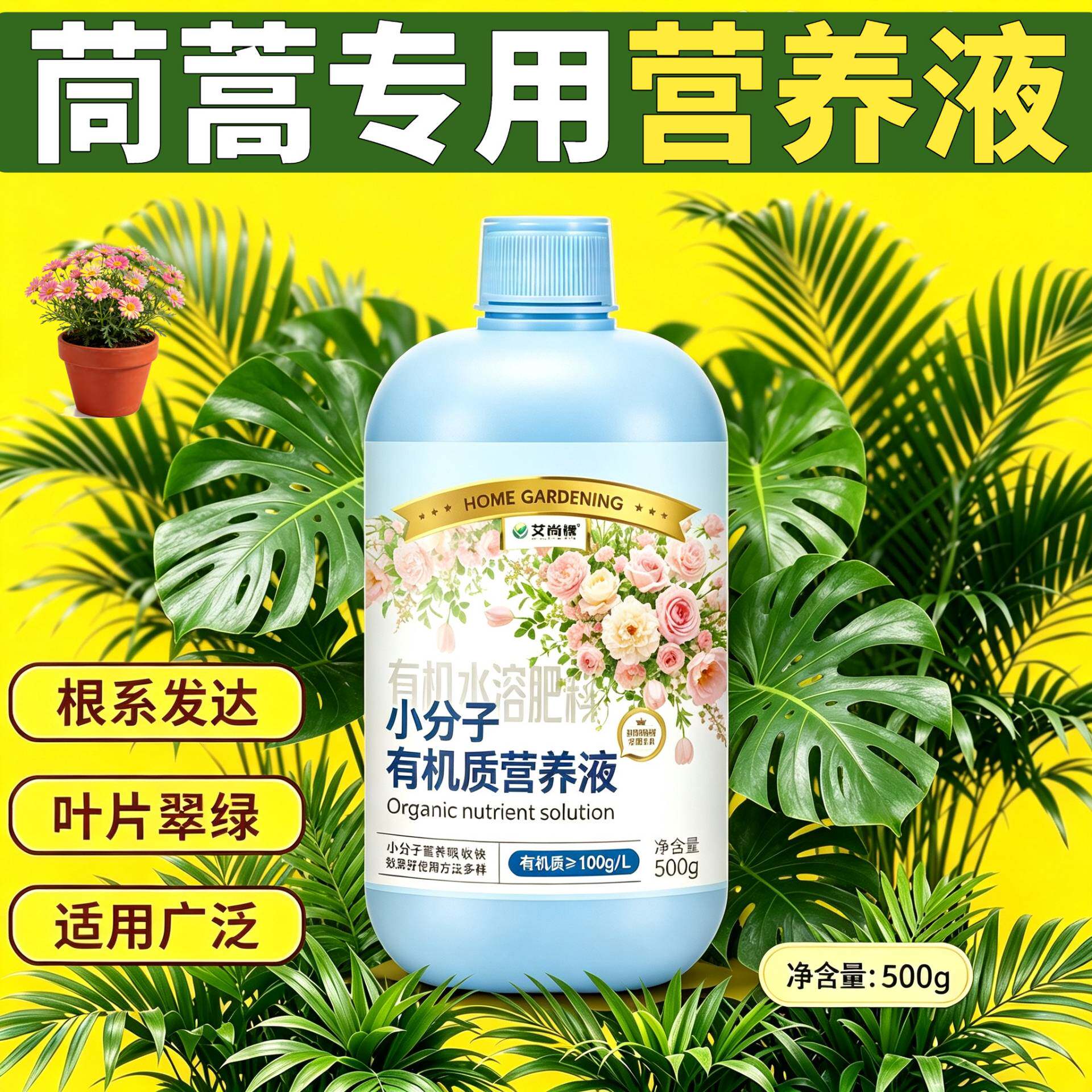 茼蒿适用营养液根叶双补快速吸收盆栽园艺小分子氨基酸适用广泛