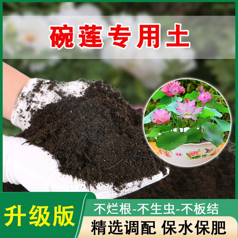 碗莲专用泥土睡莲营养土荷塘荷花专用泥莲花水养泥块淤泥土塘泥土