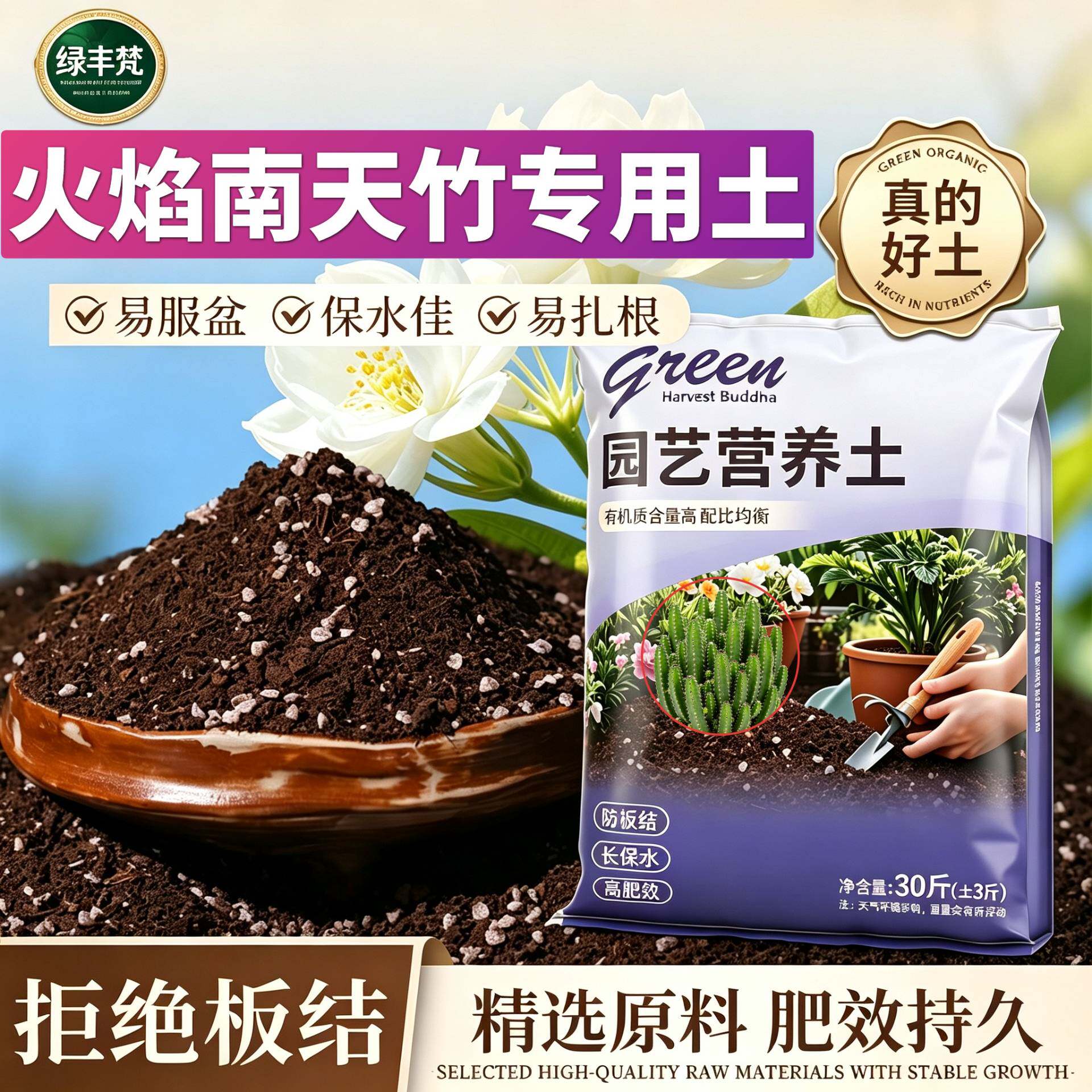 火焰南天竹适用泥炭土保水锁肥盆景大包无菌防黄叶观叶扦插阳台