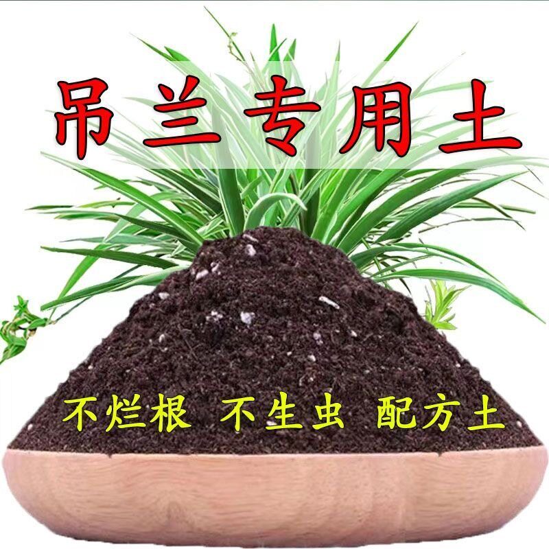 吊兰专用土营养土吊兰专用肥料养花通用金边吊兰的土壤泥土种植土