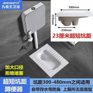 短坑距23cm蹲便器前排水中排出水蹲坑厕所便盆大口径带存水弯防臭