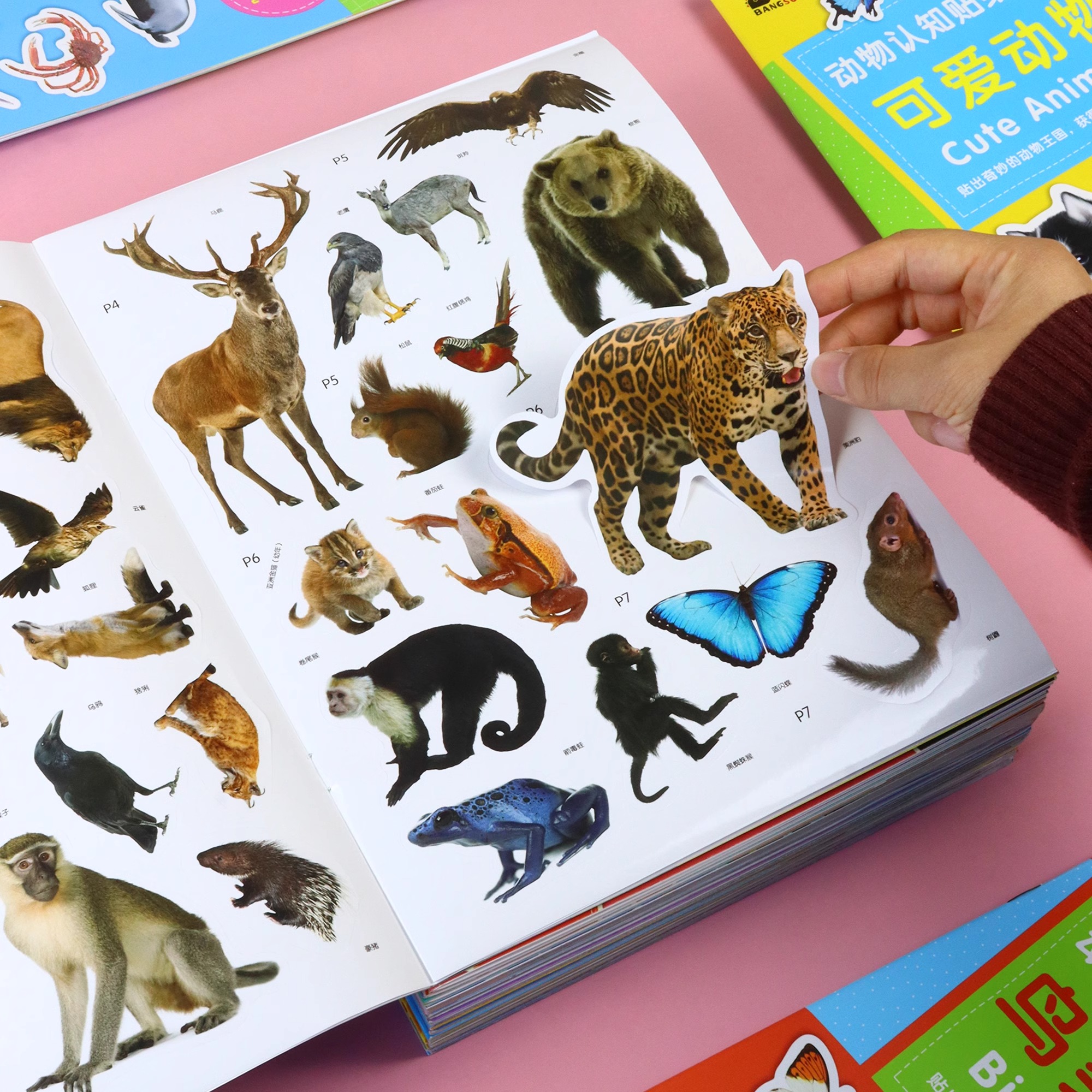 动物图案贴纸书反复贴0-2-3-4-6岁儿童趣味大号贴贴画启蒙认知