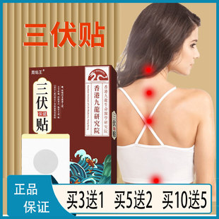 周佑王三伏保健贴三伏贴艾叶白芥子花椒牛黄甘草干姜细辛冬病夏治