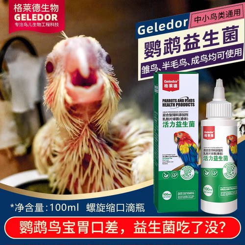 鹦鹉鸟用益生菌活菌消化缓慢拉稀