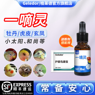 格莱德一嘀灵鹦鹉鸟类可用